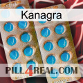 Kanagra new08